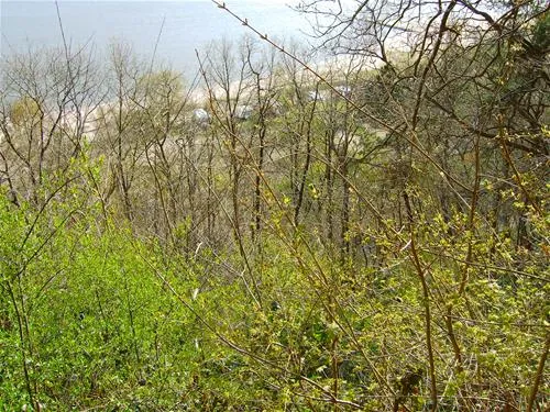 campingplatz-elbe-camp-hamburg-ggoqf