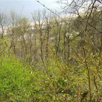campingplatz-elbe-camp-hamburg-ggoqf