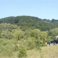 campingplatz-elbe-camp-hamburg-v7xa7