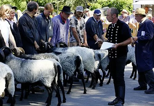camping-zum-oertzewinkel-munsterkreutzen-44jrz