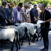 camping-zum-oertzewinkel-munsterkreutzen-44jrz
