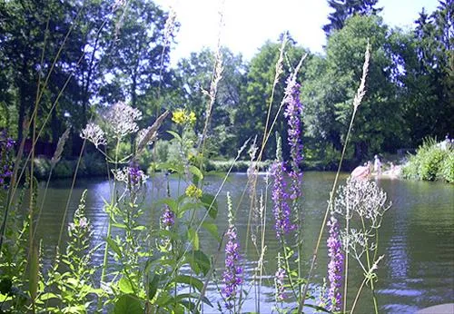 camping-zum-oertzewinkel-munsterkreutzen-9naal