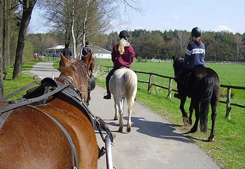 camping-zum-oertzewinkel-munsterkreutzen-ag0zq