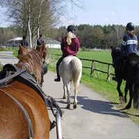camping-zum-oertzewinkel-munsterkreutzen-ag0zq