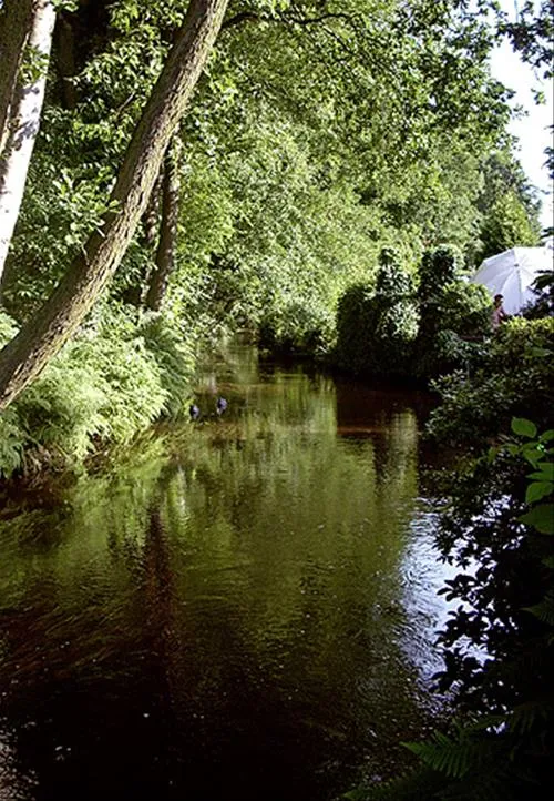 camping-zum-oertzewinkel-munsterkreutzen-efqp0