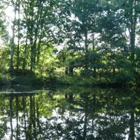 camping-zum-oertzewinkel-munsterkreutzen-r9vya