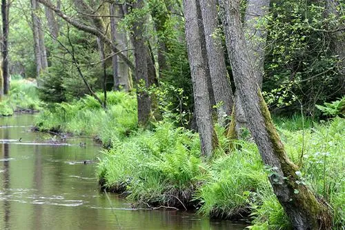 camping-zum-oertzewinkel-munsterkreutzen-tiymh