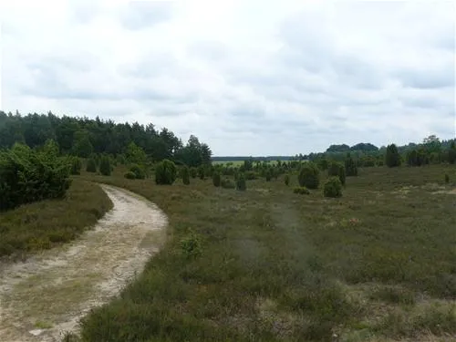 camping-zum-oertzewinkel-munsterkreutzen-w0vja