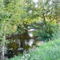woodland-springs-touring-park-exeter-ny8al