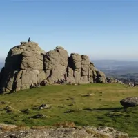 woodland-springs-touring-park-exeter-uuabk