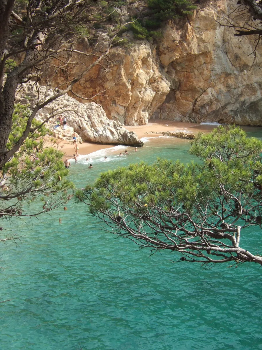 camping-pola-tossa-de-mar-bhe25