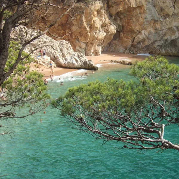 camping-pola-tossa-de-mar-bhe25