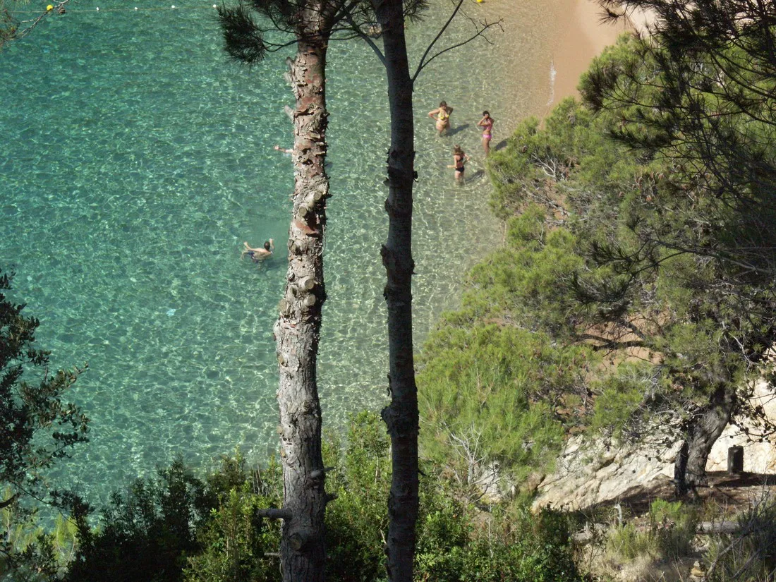 camping-pola-tossa-de-mar-bifcl