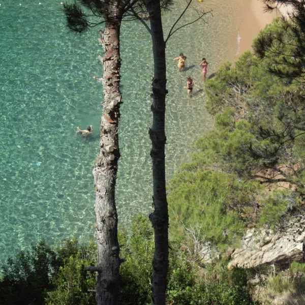 camping-pola-tossa-de-mar-bifcl