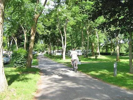 camping-lisle-aux-moulins-loiret-1yexe