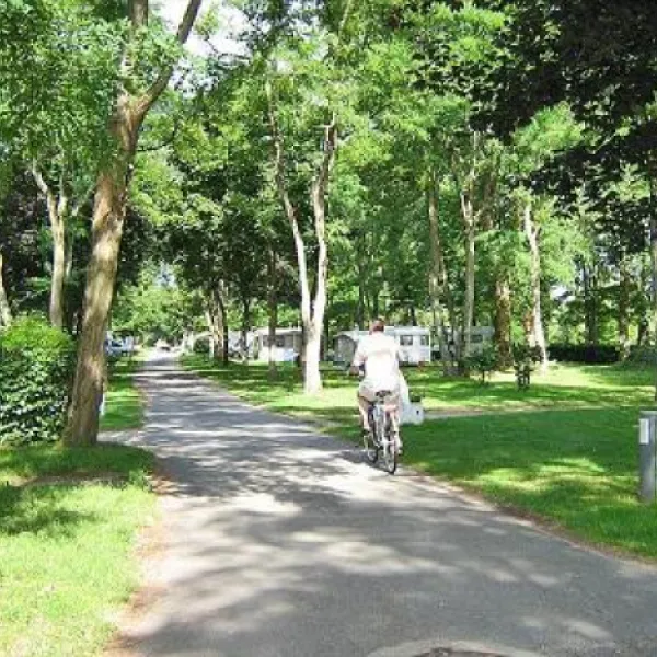 camping-lisle-aux-moulins-loiret-1yexe