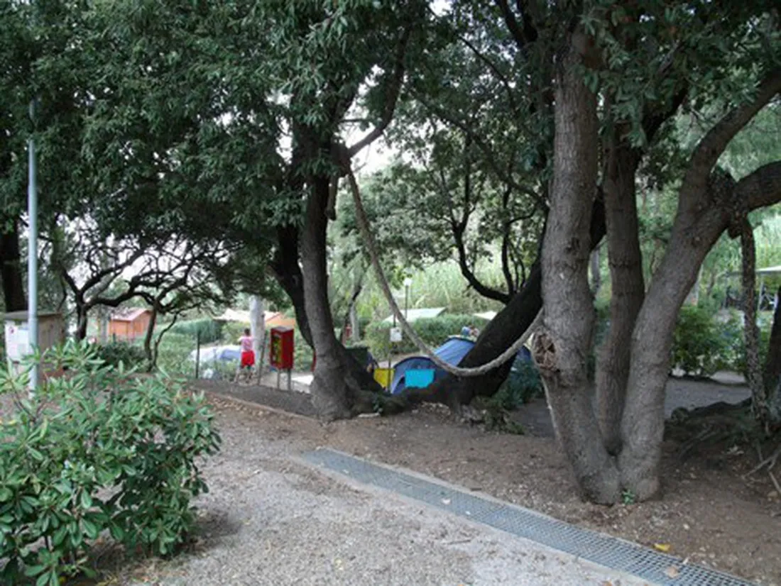 camping-la-sorgente-portoferraio-st13l