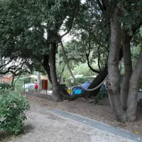 camping-la-sorgente-portoferraio-st13l