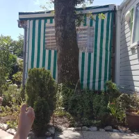 Camping Palmyr Oceana  