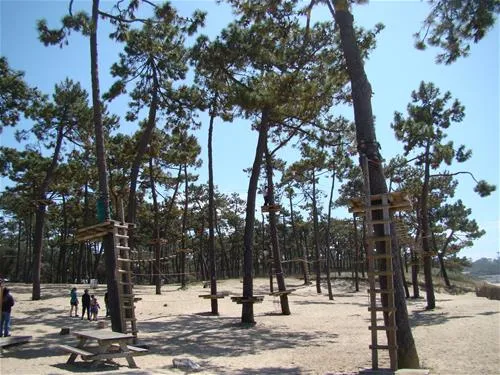 camping-les-moulins-de-la-vergne-pons-8do77