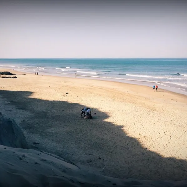 des-pins-soulac-sur-mer-gironde-0i6qc
