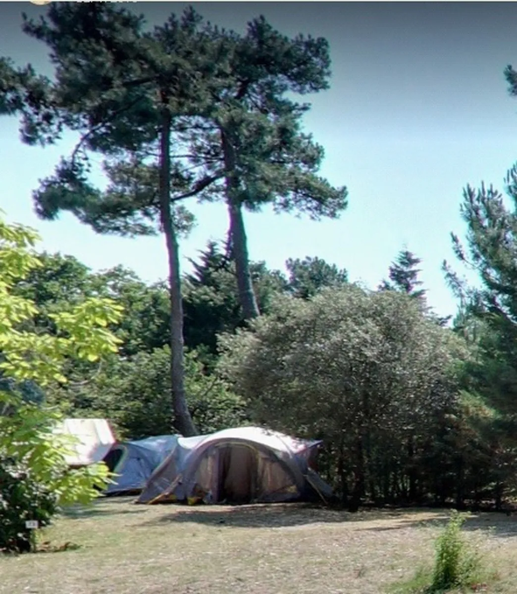 des-pins-soulac-sur-mer-gironde-jxe7e