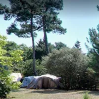 des-pins-soulac-sur-mer-gironde-jxe7e