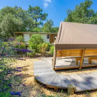 des-pins-soulac-sur-mer-gironde-vfekz