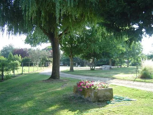 camping-chez-menard-st-andre-de-lidon-z32s8