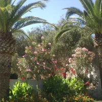 Camping aire naturelle Ficajola