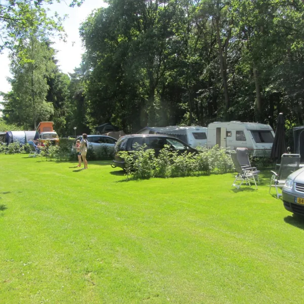 camping-de-zandhegge-emst-ejea4
