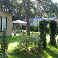 camping-de-zandhegge-emst-kjtpa