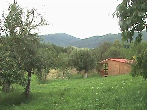 camping-zamolxe-sarmizegetusa-6xwfg