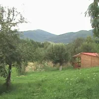 camping-zamolxe-sarmizegetusa-6xwfg