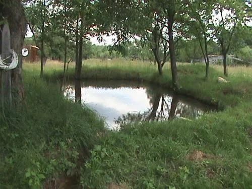 camping-zamolxe-sarmizegetusa-cfldz