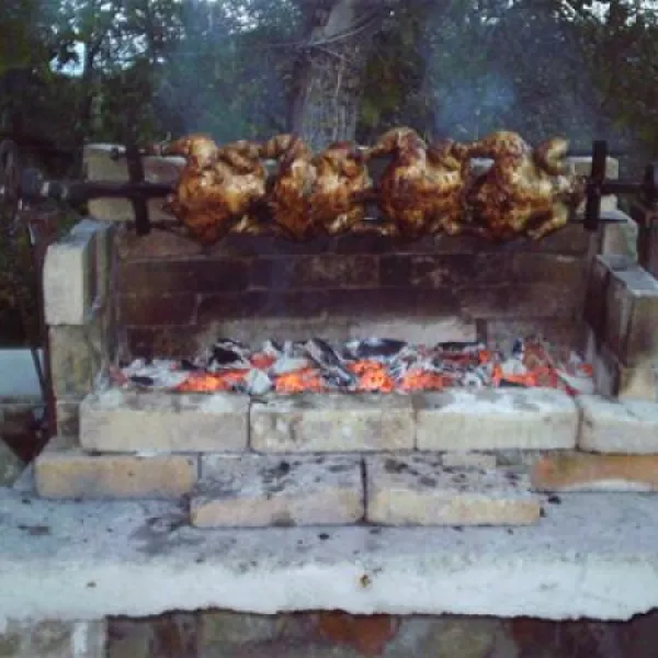 camping-zamolxe-sarmizegetusa-y9qzb