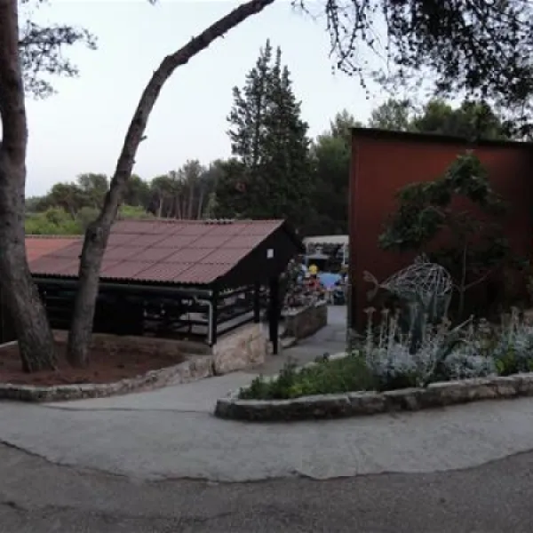 camping-kranjski-premantura-bcnqq