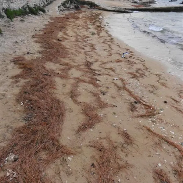 camping-kranjski-premantura-bcssy