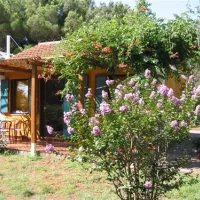 camping-kranjski-premantura-ph1ma