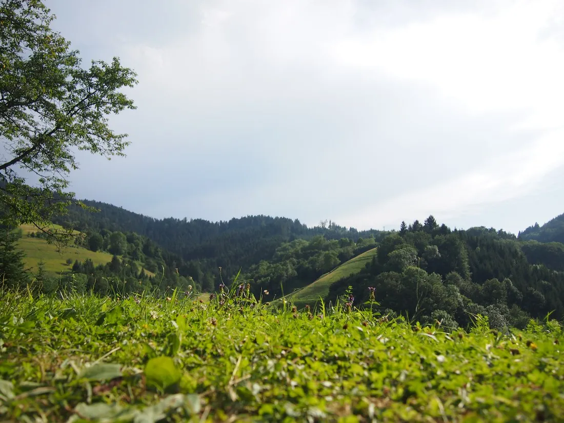 trendcamping-wolfach-wolfach-qzhcp