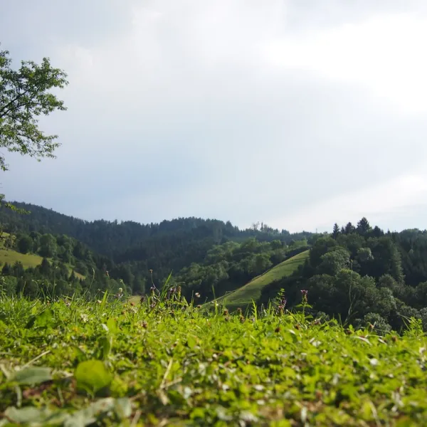 trendcamping-wolfach-wolfach-qzhcp