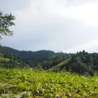 trendcamping-wolfach-wolfach-qzhcp