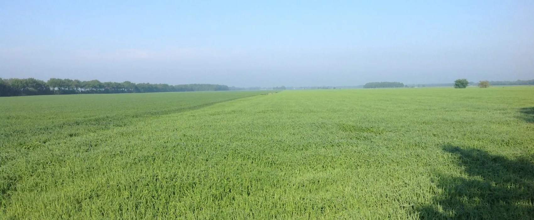 Natuurkampeerterrein Tuincamping Entourage