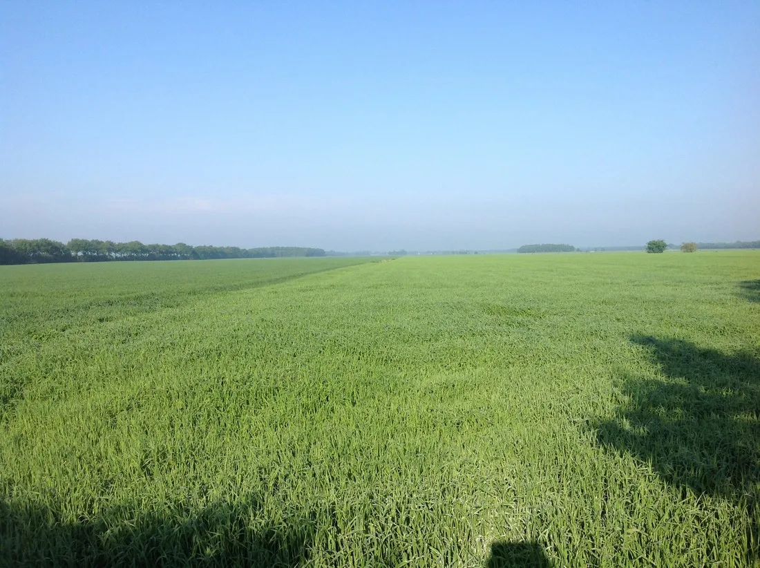 natuurkampeerterrein-tuincamping-entourage-vriescheloo-eimi9