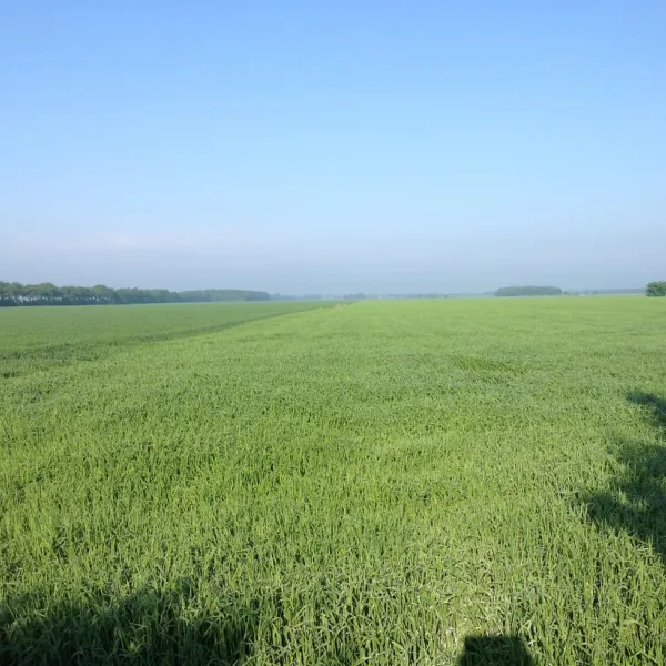Natuurkampeerterrein Tuincamping Entourage