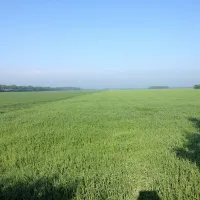 Natuurkampeerterrein Tuincamping Entourage