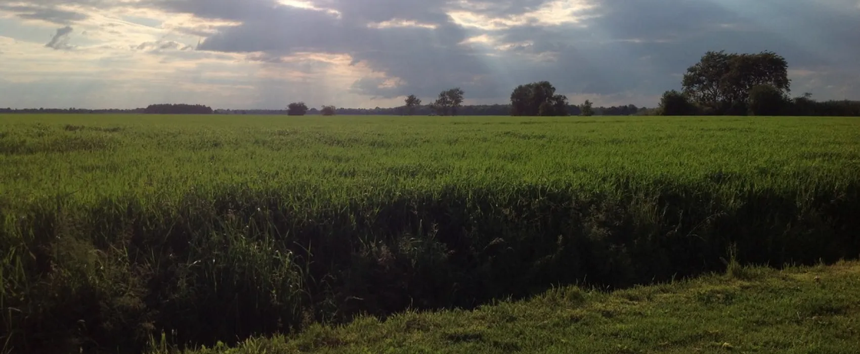 Natuurkampeerterrein Tuincamping Entourage