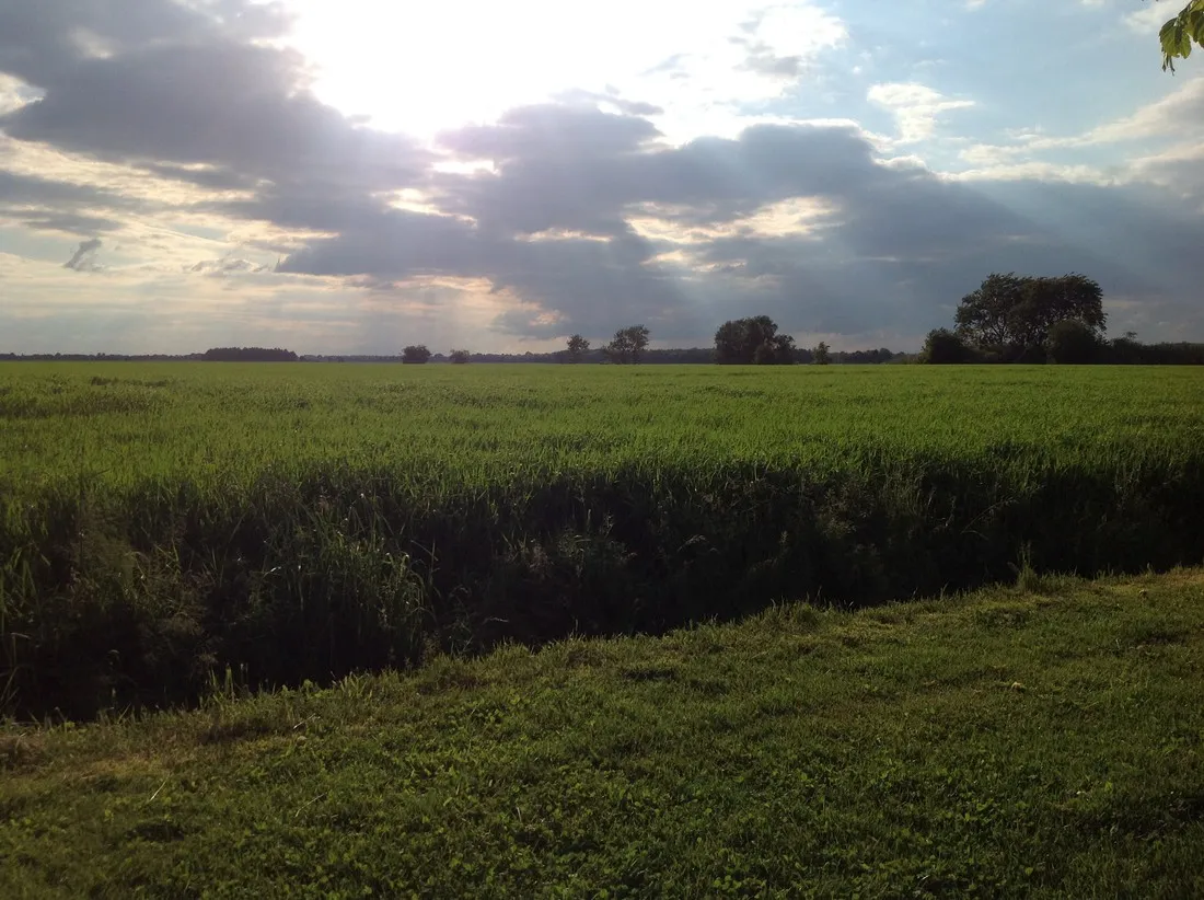 natuurkampeerterrein-tuincamping-entourage-vriescheloo-wessv