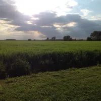 natuurkampeerterrein-tuincamping-entourage-vriescheloo-wessv