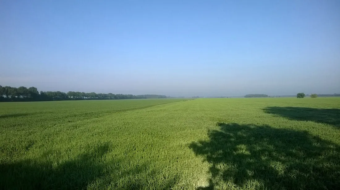 natuurkampeerterrein-tuincamping-entourage-vriescheloo-zetug